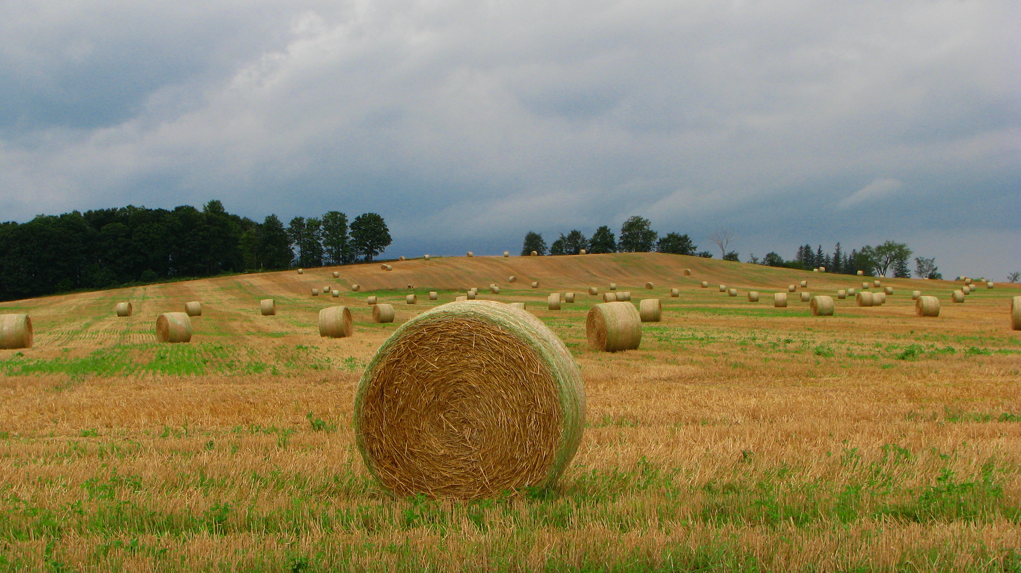 New Tecumseth, Ontario