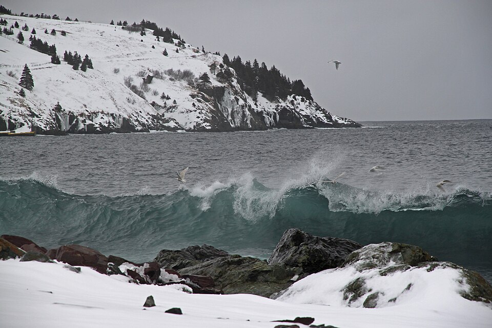 Torbay, Newfoundland and Labrador